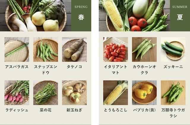 坂ノ途中野菜の種類春夏