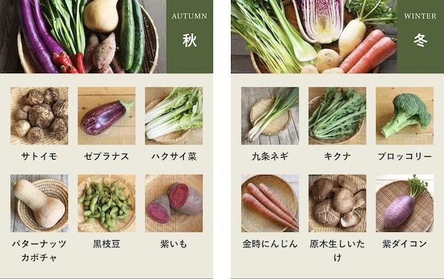 坂ノ途中野菜の種類秋冬