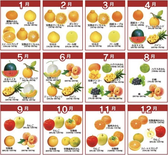 フルーツ料金と種類